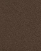 GRIS TAUPE
