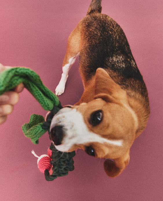 PET TOY WITH BUNCH OF RADISHES