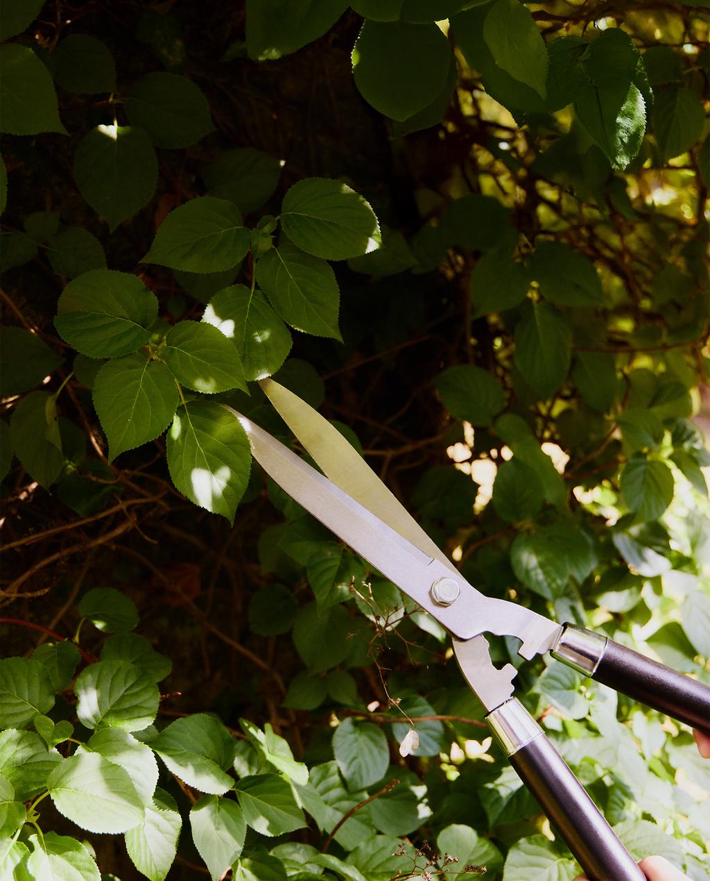 TESOURA PARA CORTAR SEBES JARDIM