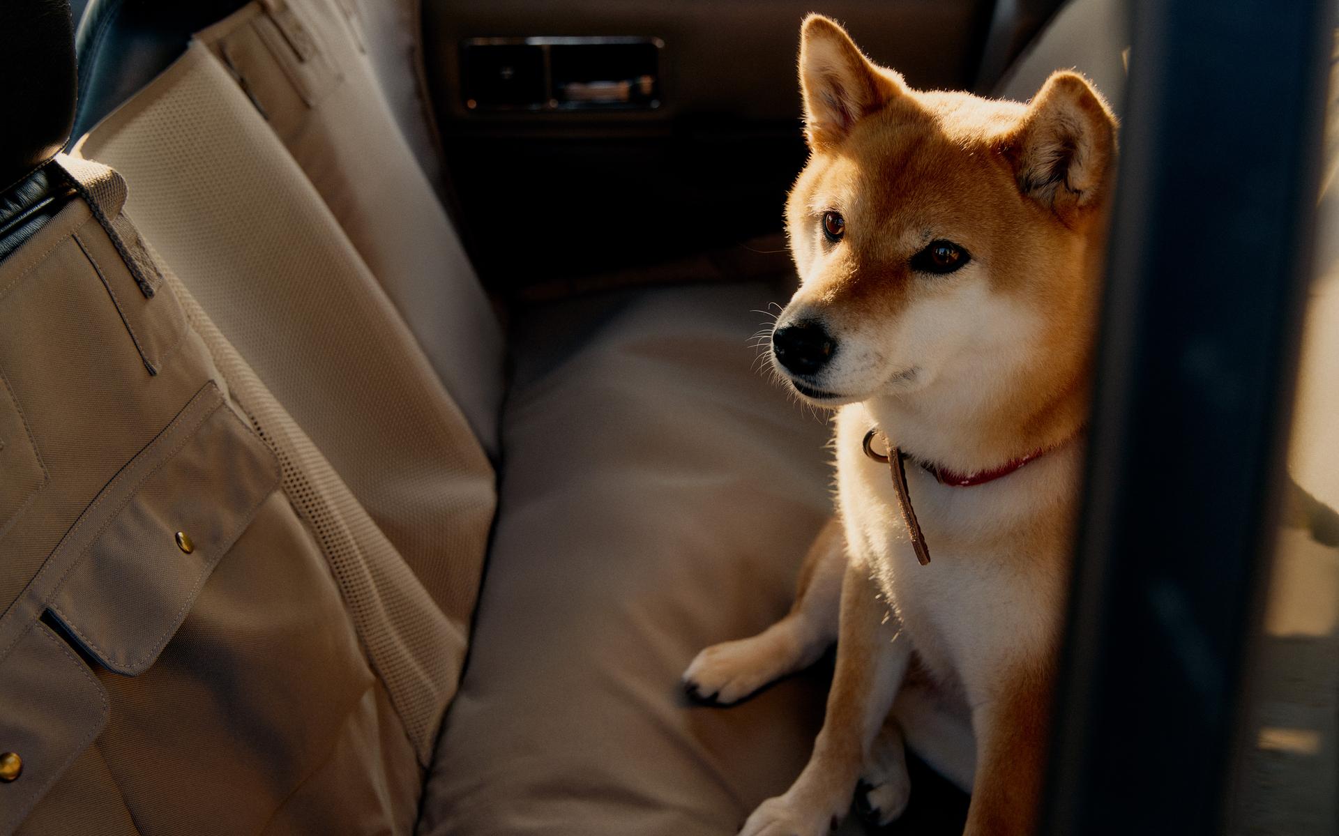 PET CAR THROW