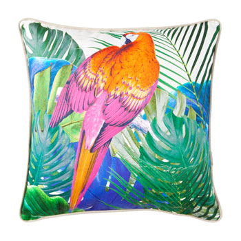 Colourful Parrot Cushion