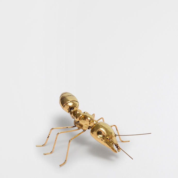 Carrellata di prodotti