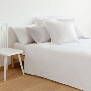 spotlight feather pillows