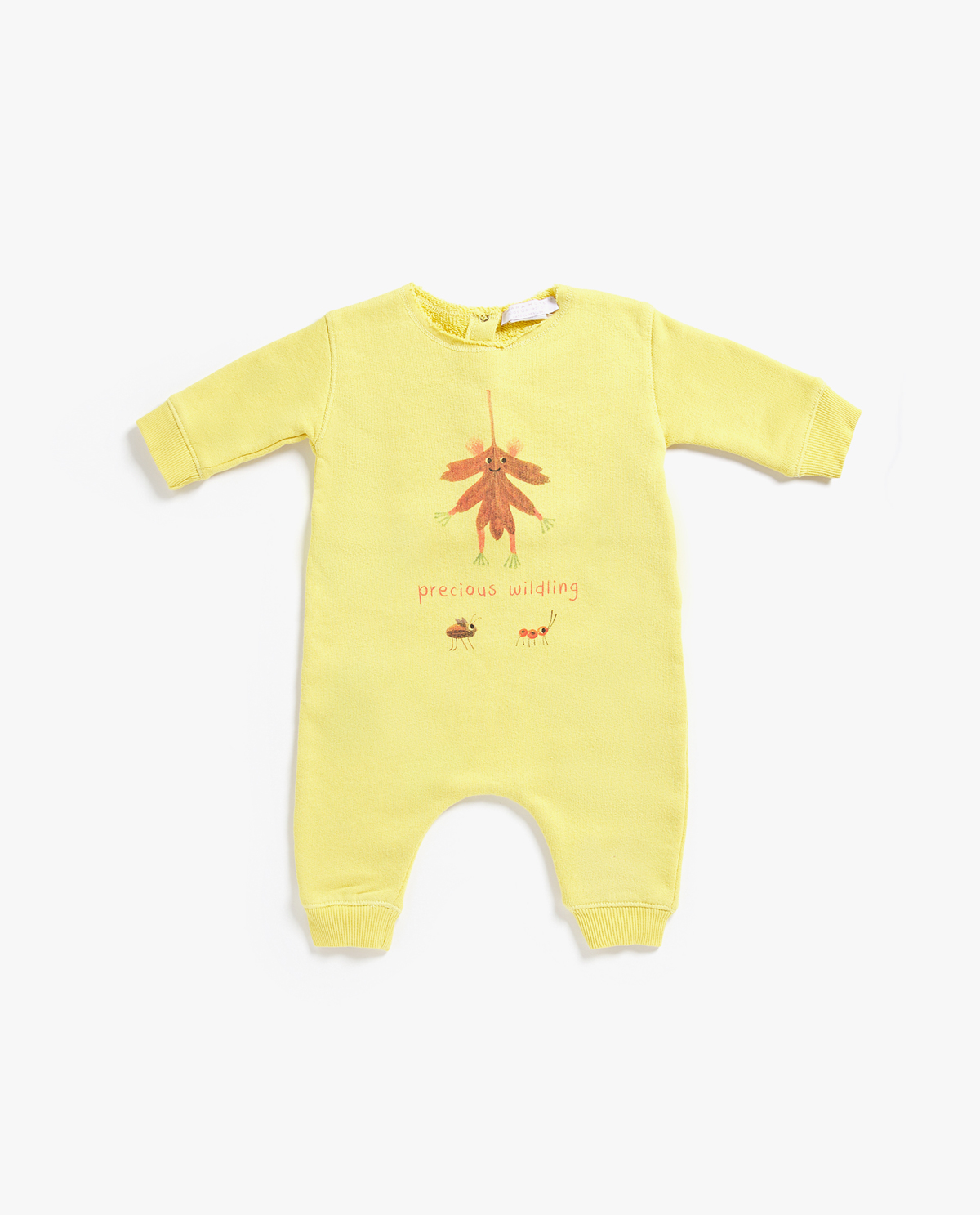 7118529520_1_1_2.jpg?t=1530107084951