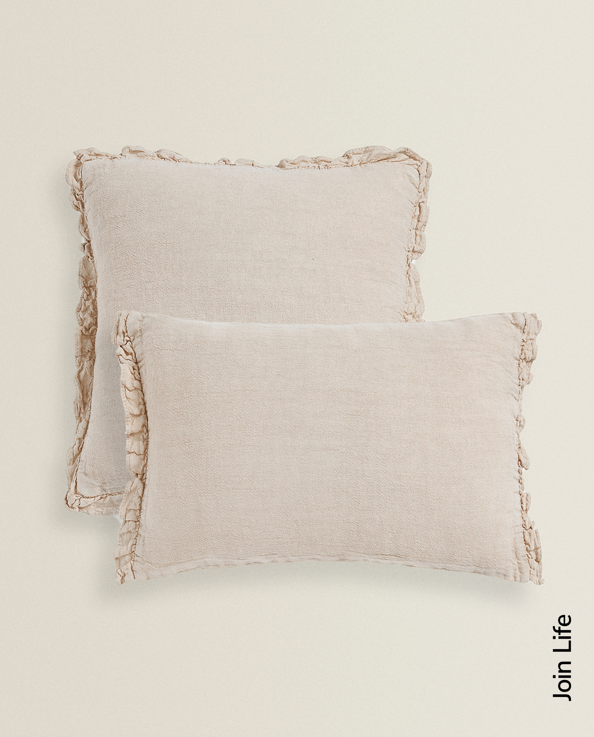 Zara Home Coussin