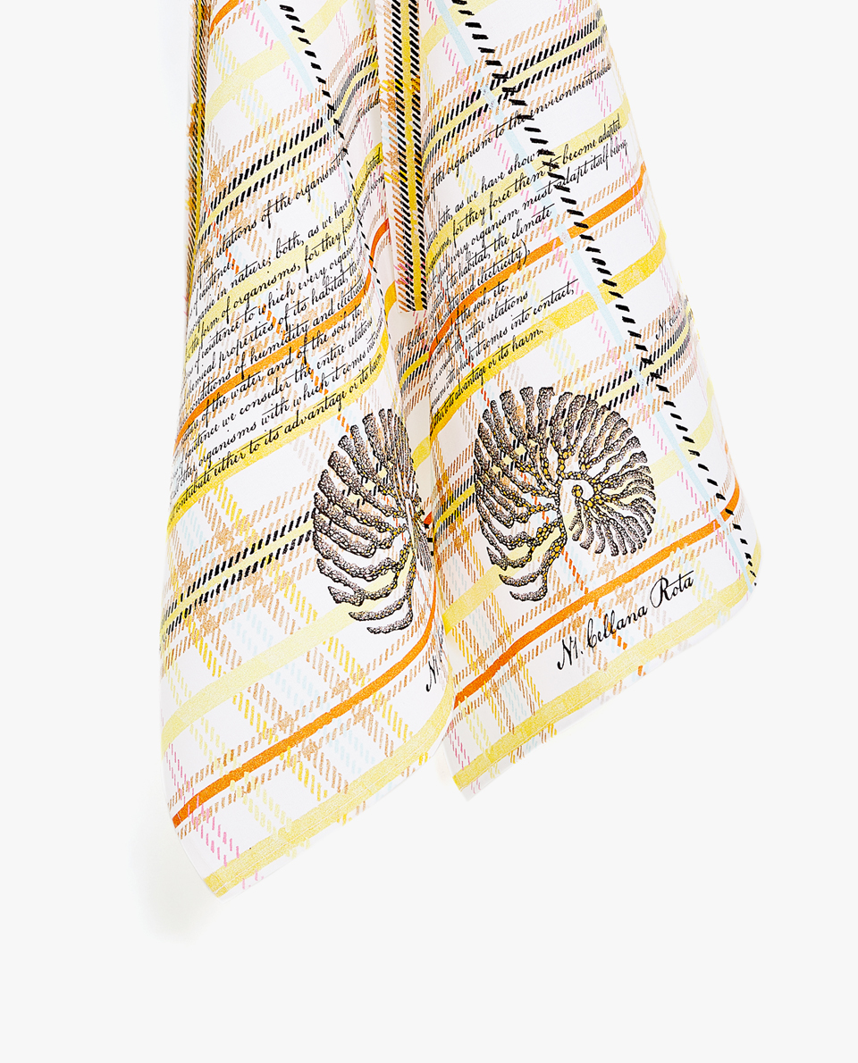 Kitchen Linens Zara Home New Collection