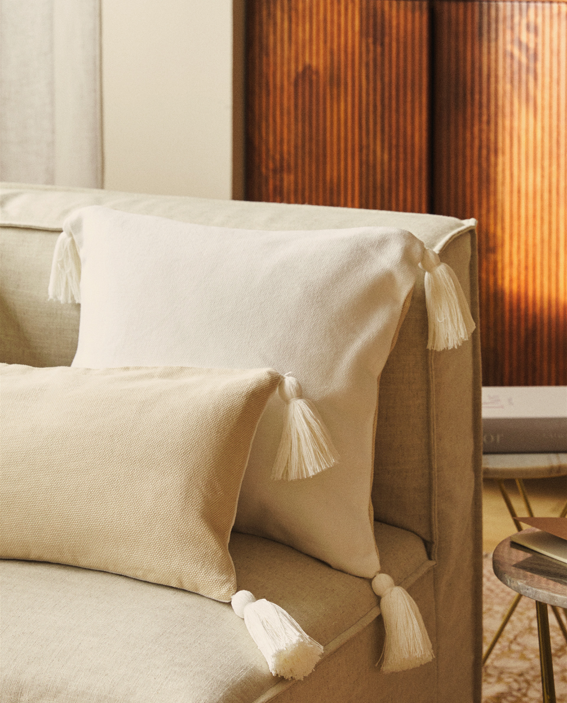 Throw Pillow With Tassels Throw Pillows Living Room New