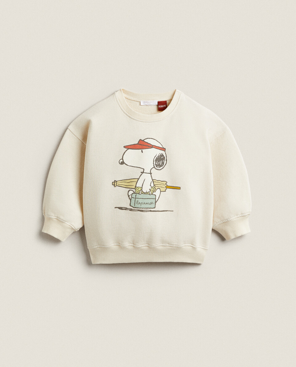 zara home sweatshirt