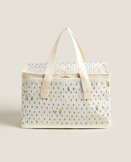 zara lunch bag