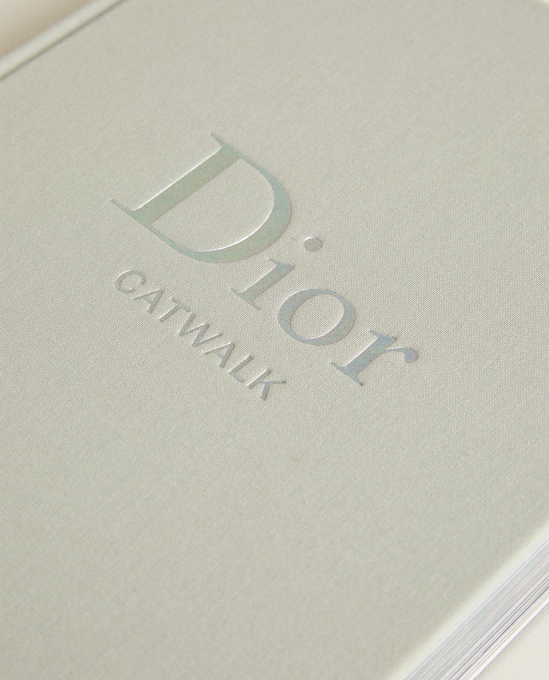 dior book zara