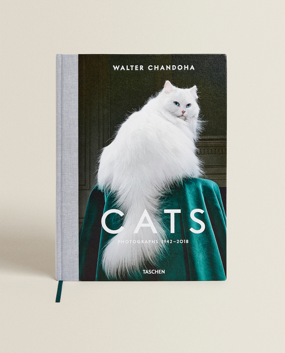 LIBRO CATS. PHOTOGRAPHS 1942-2018 DI WALTER CHANDOHA