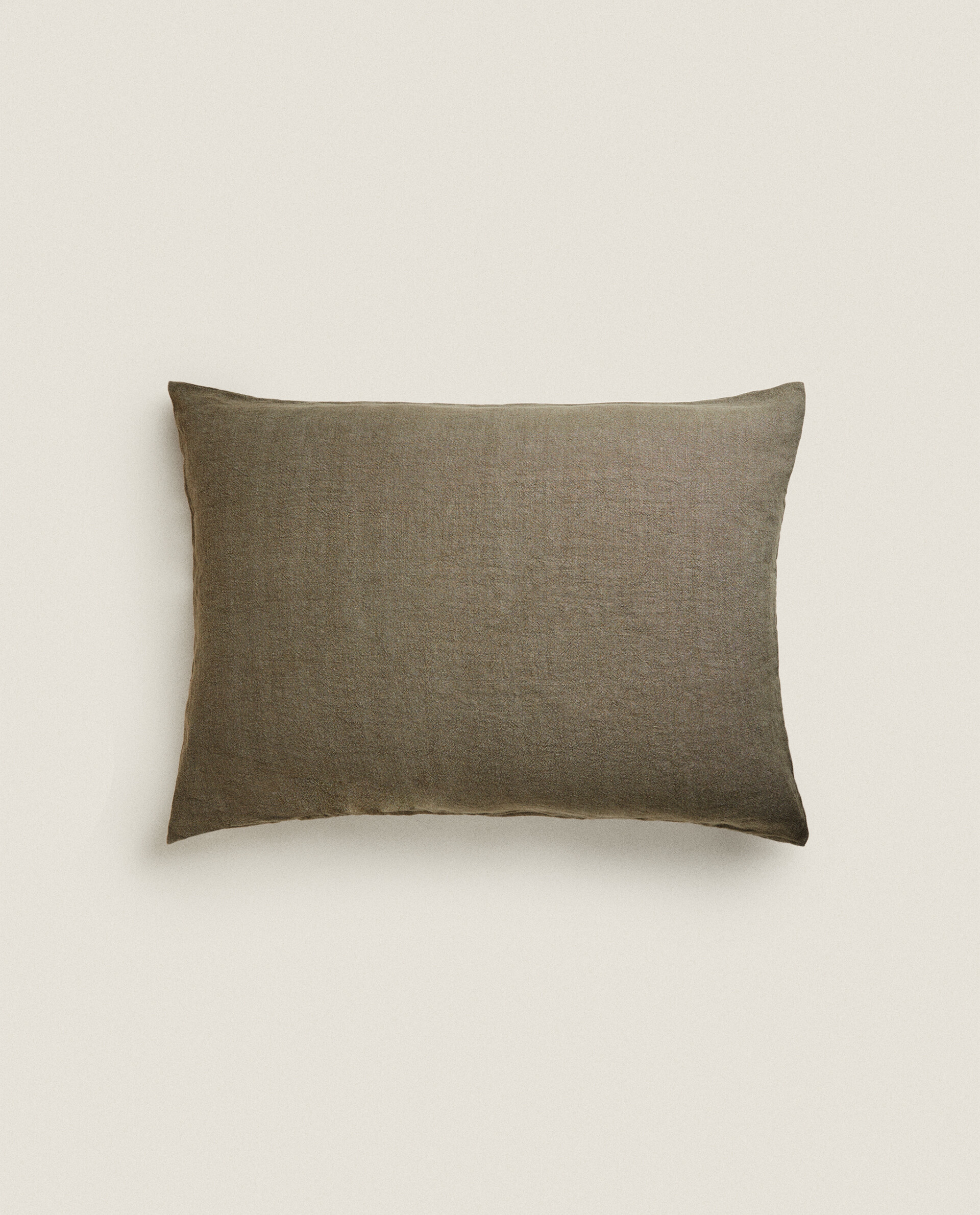 Zara discount home pillows