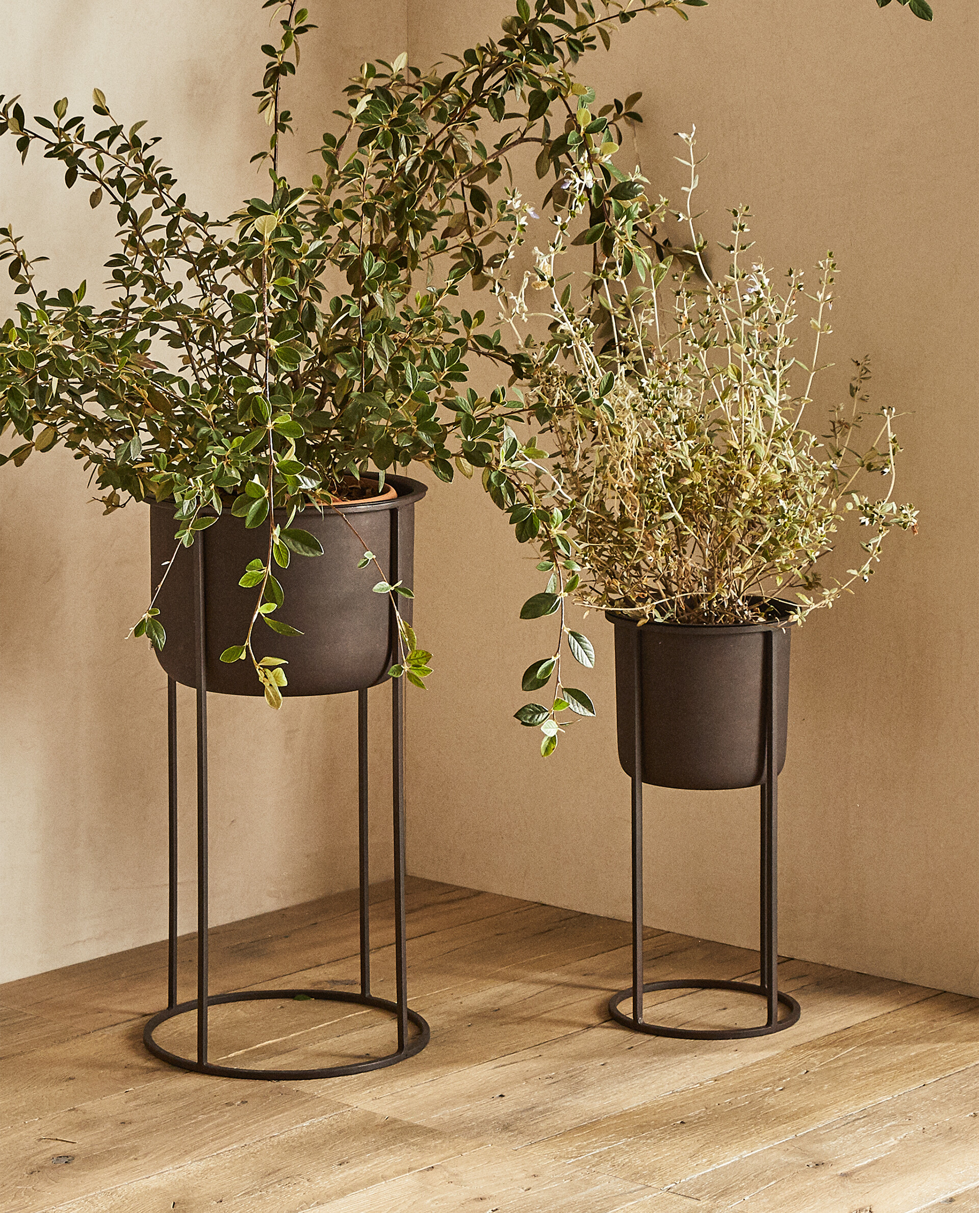 ZARA HOME◇ザラ ゴールド プランター