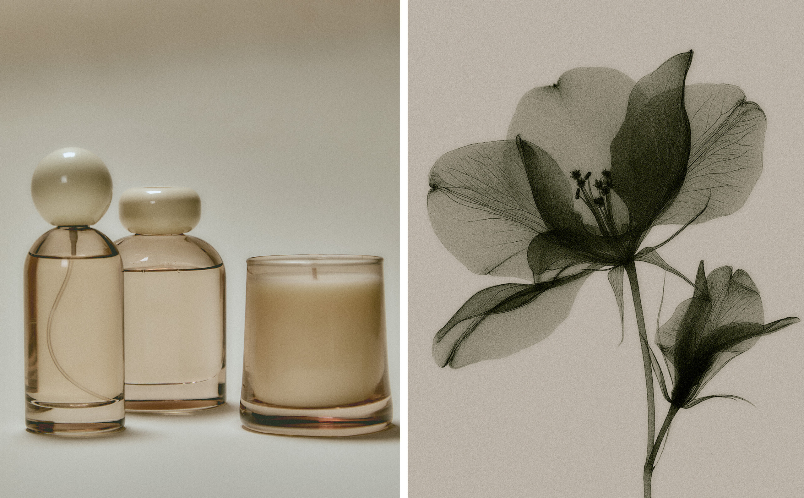 JASMINE & MUSK