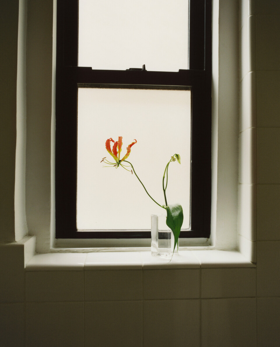 SHOP THE LOOK Zara Home Brasil