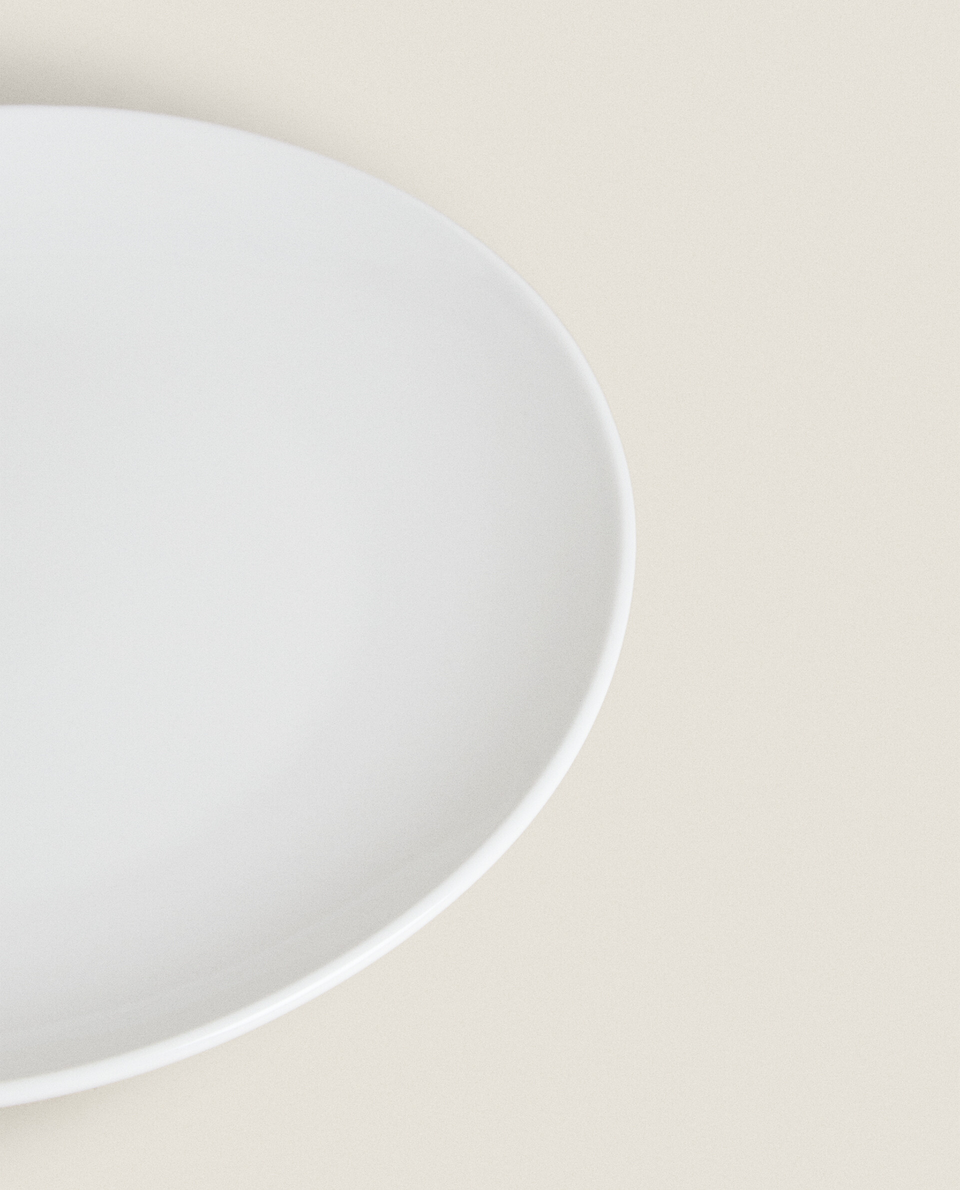 Stoneware deals dinner plates