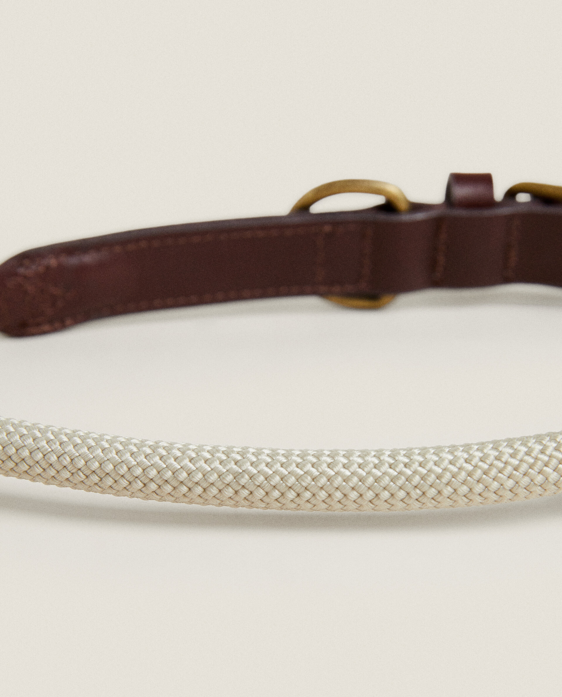 Rope and leather dog hot sale collar