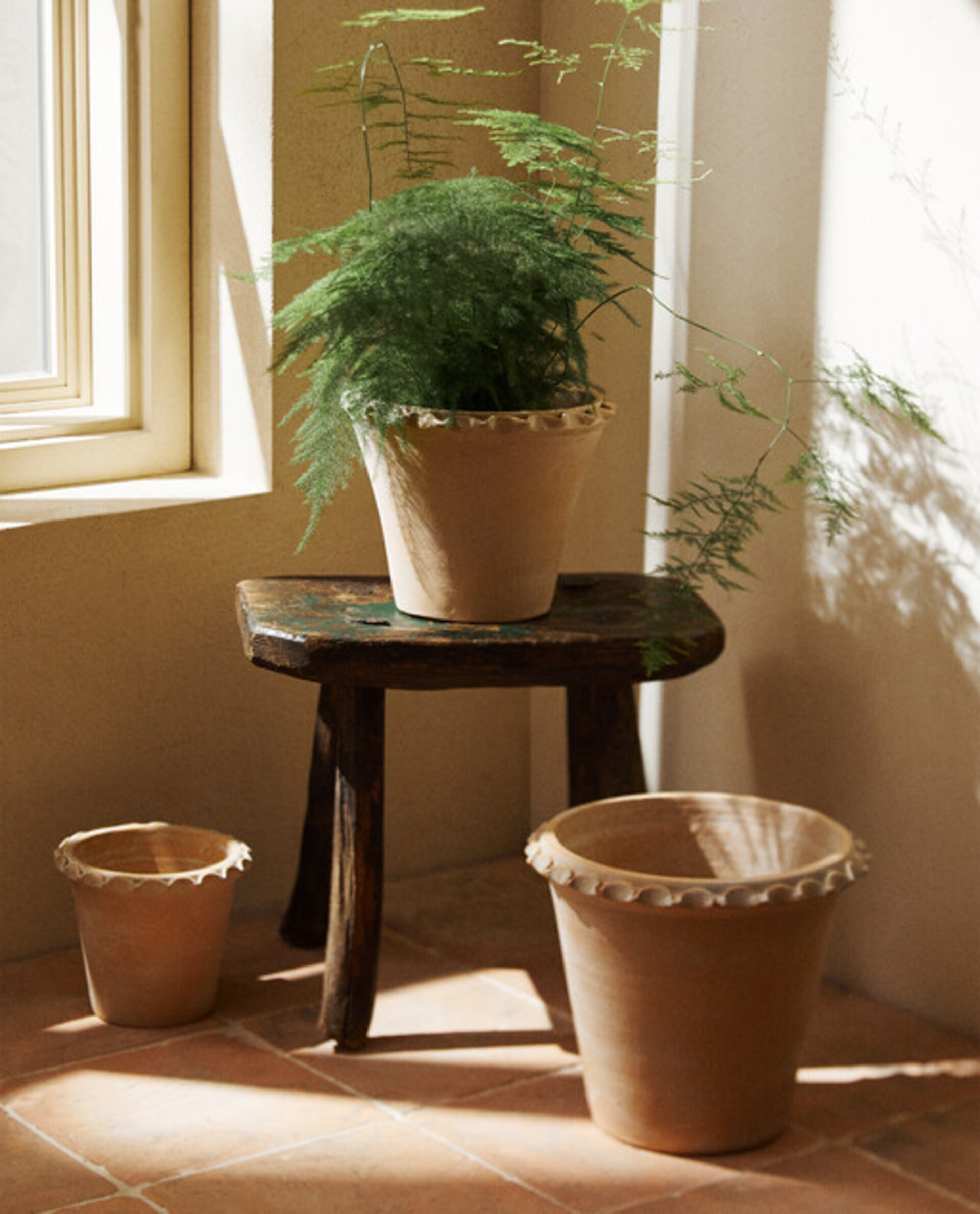 TERRACOTTA FLOWERPOT Zara Home UAE ABU DHABI/AL AIN/RAS ALKHAIMAH‎