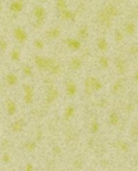 (190 ML) LIME & PEPPERMINT FABRIC FRESHENER SPRAY