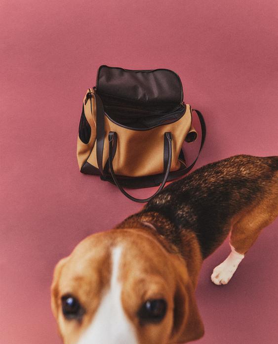 LEATHER PET CARRIER
