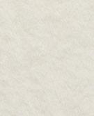 OYSTER WHITE