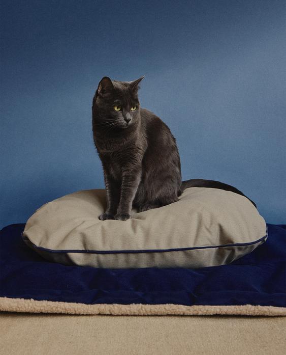 وسادة بيضاوية للحيوانات الأليفة وسادة بيضاوية للحيوانات الأليفة