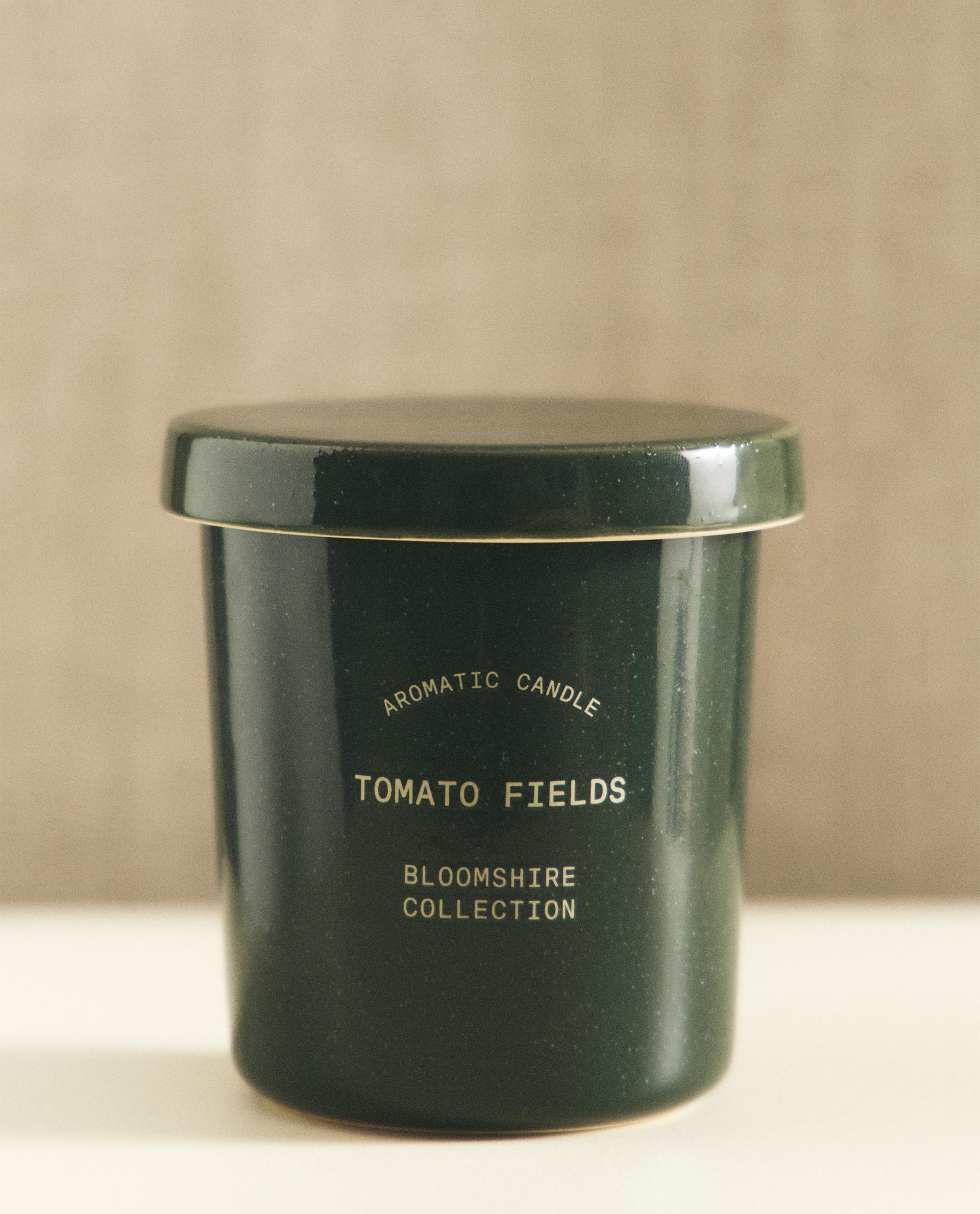 (170 G) TOMATO FIELDS SCENTED CANDLE product thumbnail 2