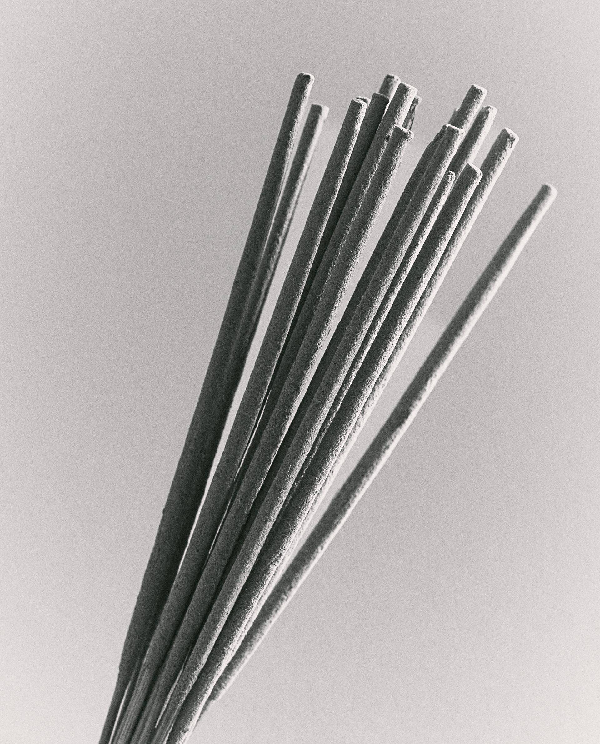 GOLDEN CUIR SCENTED INCENSE STICKS (SET OF 20) | Zara Home United