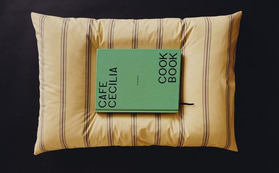 LIVRE ET TAIE D’OREILLER