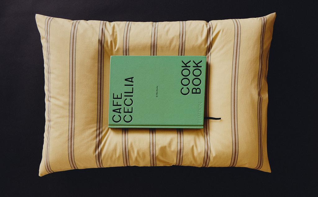 BUCH UND KOPFKISSENBEZUG