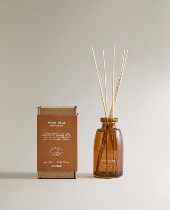 (100 ML) DIFFUSEUR À BÂTONNETS CARROT BREEZE