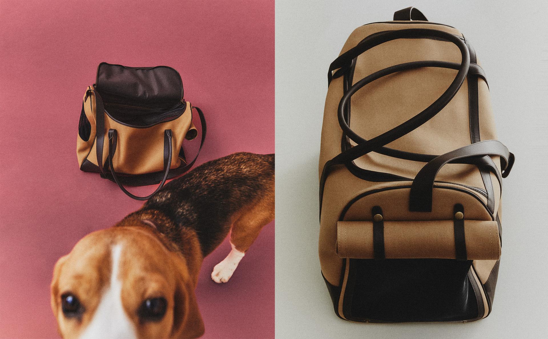 ODINIS AUGINTINIO KREPŠYS ODINIS AUGINTINIO KREPŠYS