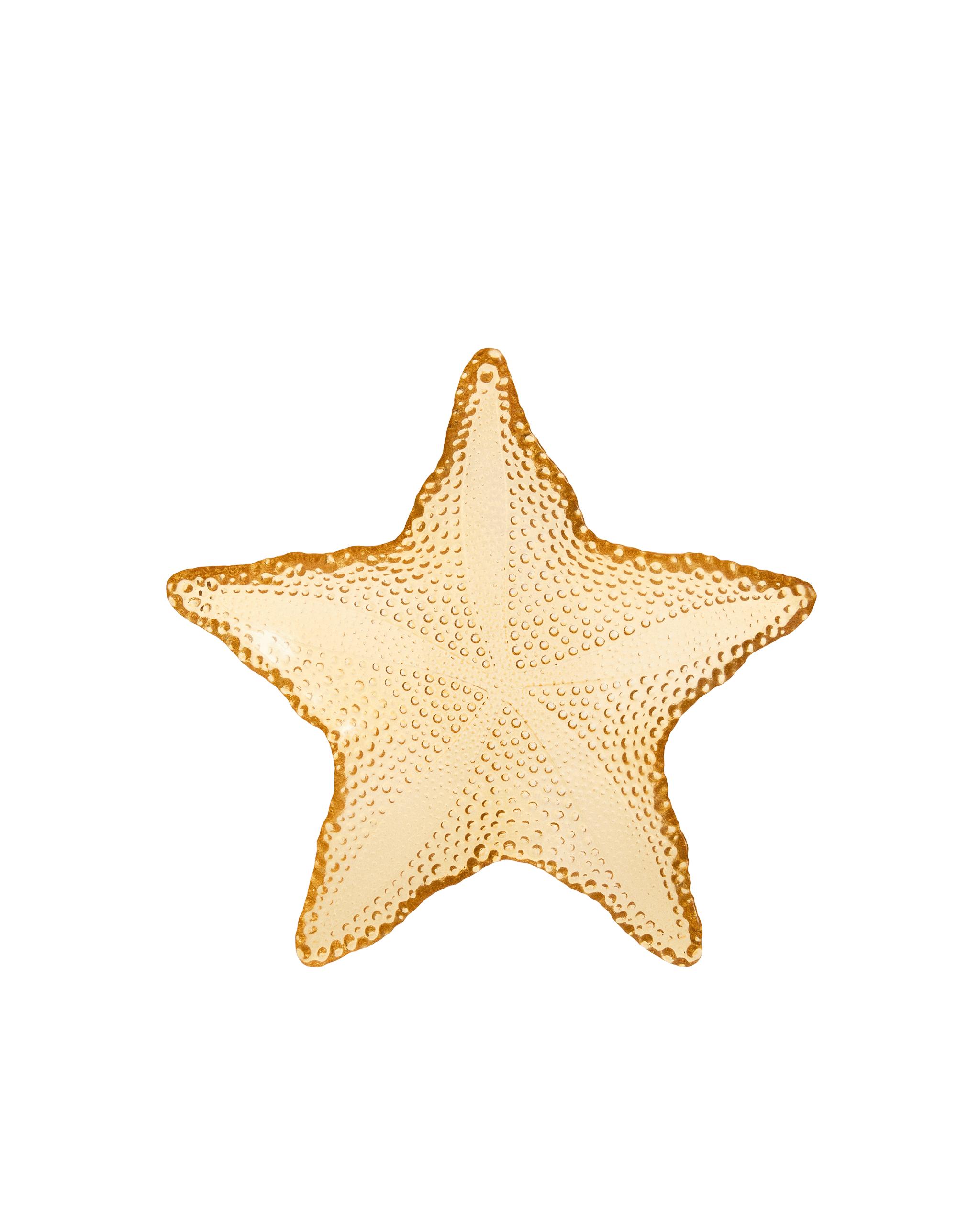 SEASHELL AND STARFISH DINNER SET product thumbnail 6