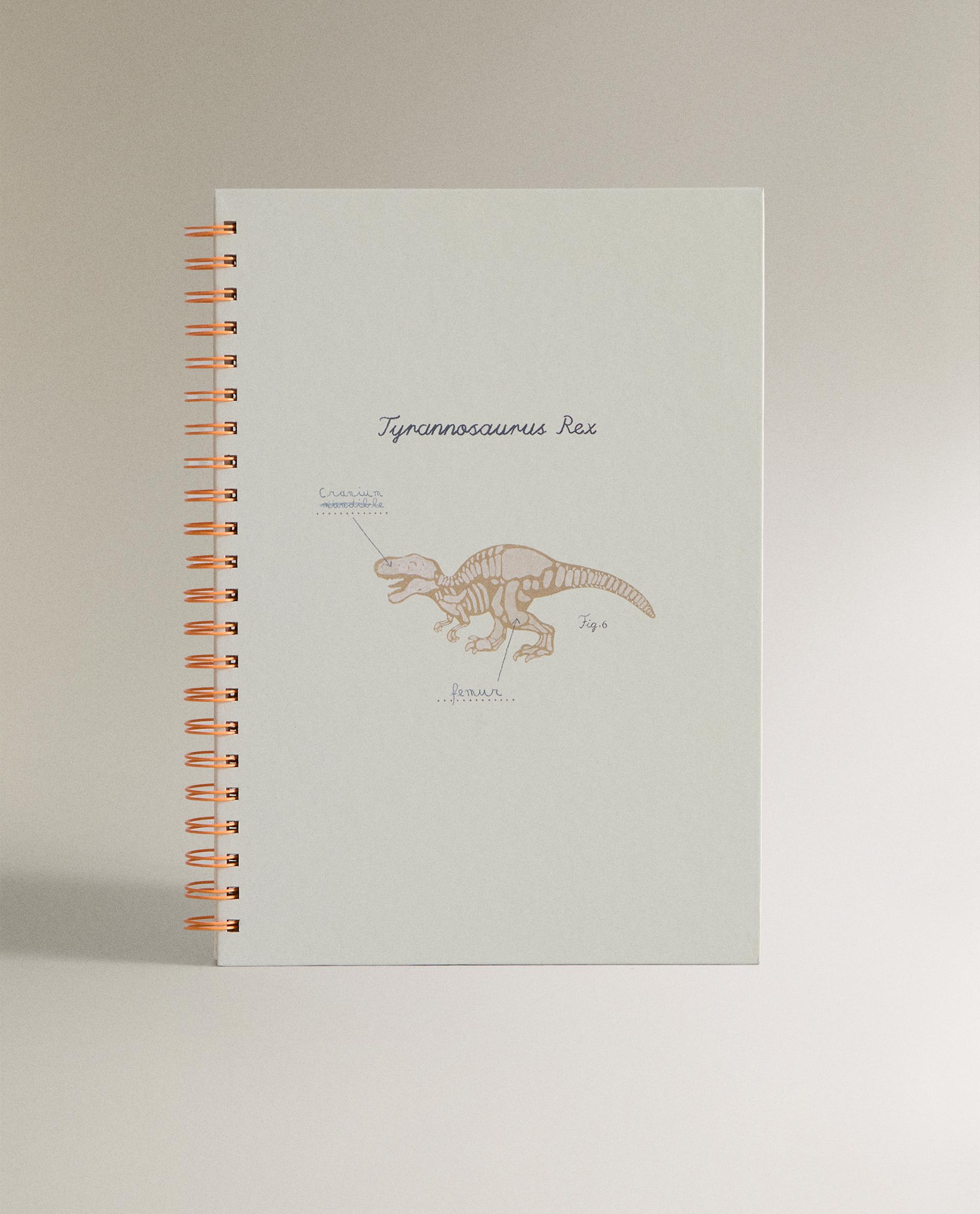 Caderno infantil com dinossauros