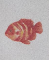 MARINE ANIMAL STONEWARE SIDE PLATE product thumbnail 18