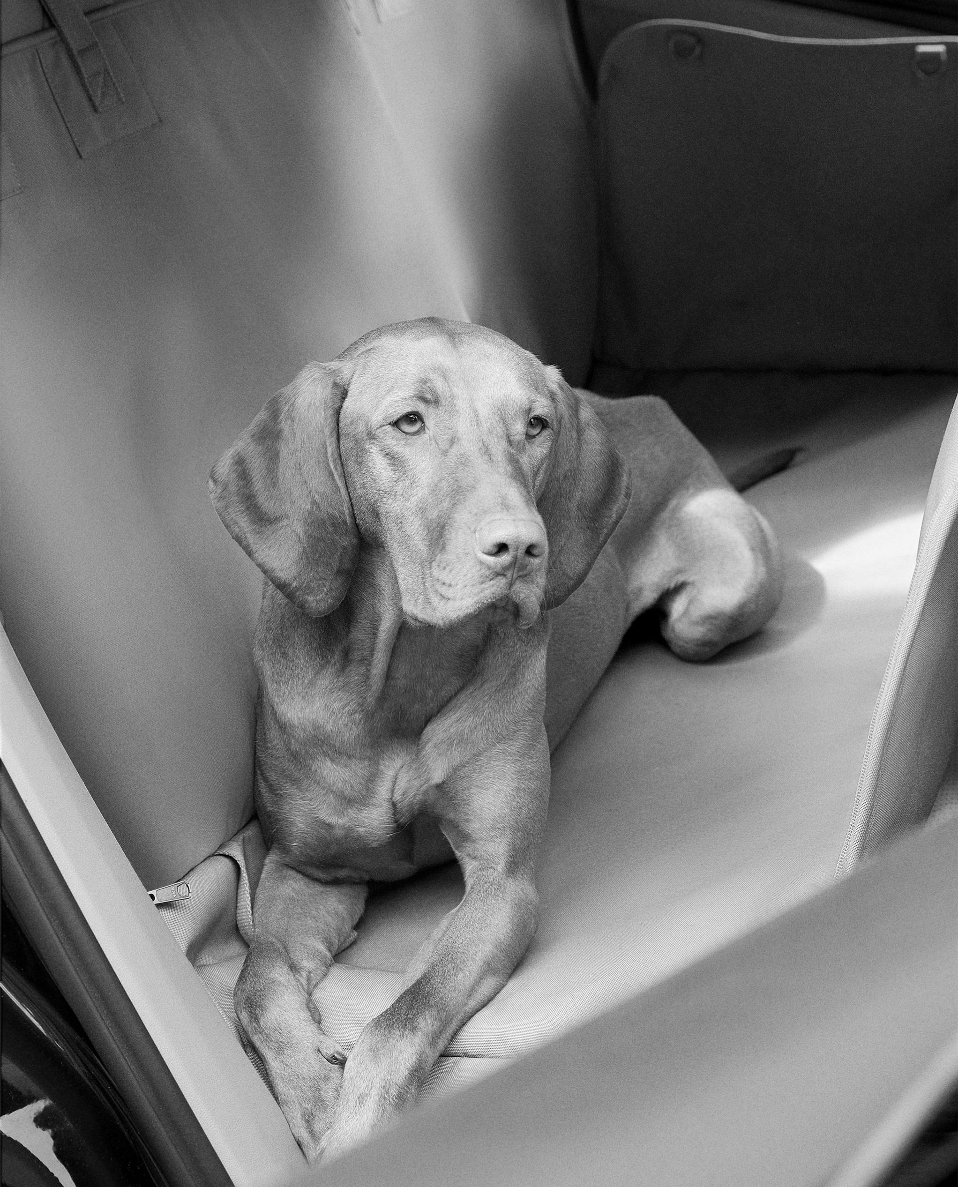 おけい　サエラ　小物入れ、ブランケット おけい サエラ 小物入れ、ブランケット 新しい到着 バッグ