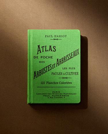 LIBRO ATLAS DE POCHE DES ARBUSTES ET ARBRISSEAUX