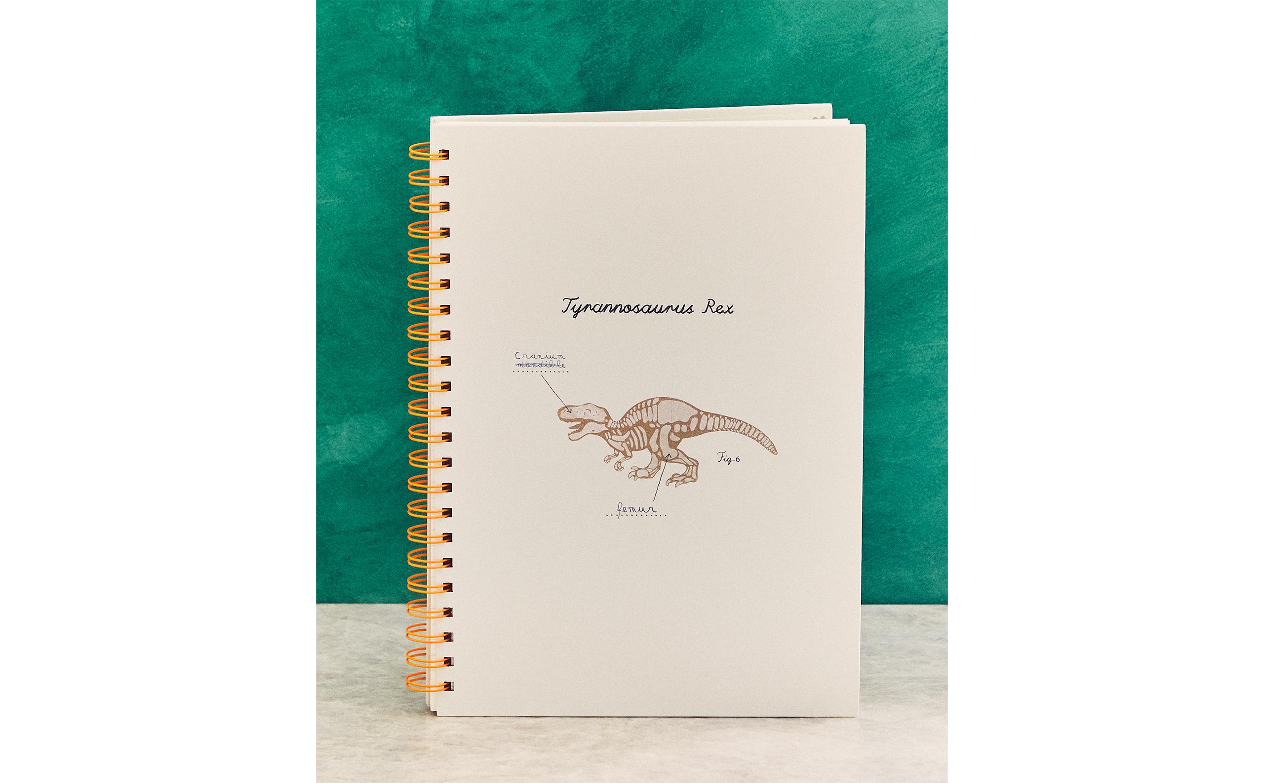 Children’s Dinosaur notebook