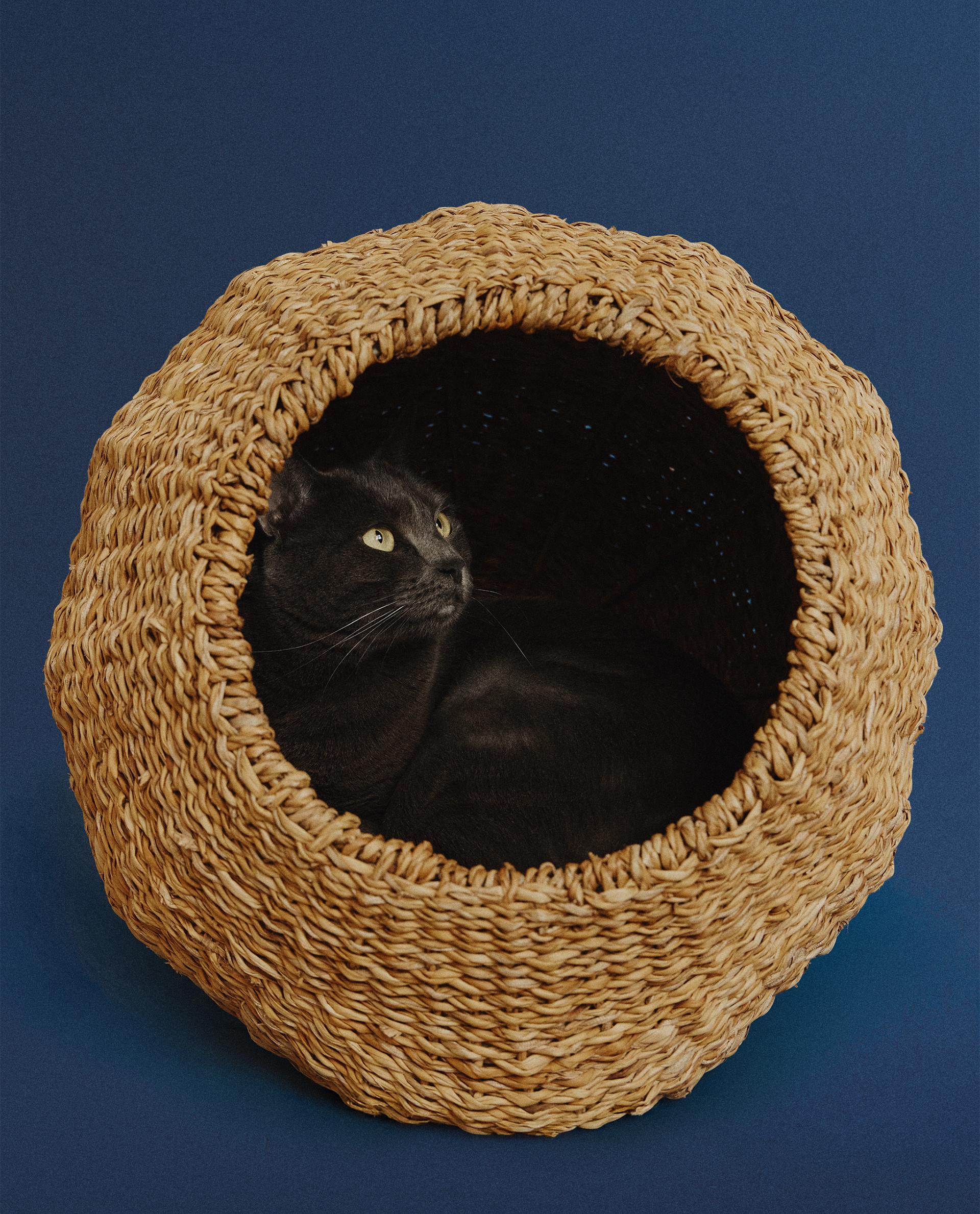 シーグラス ペットベッド | Zara Home 日本/Japan