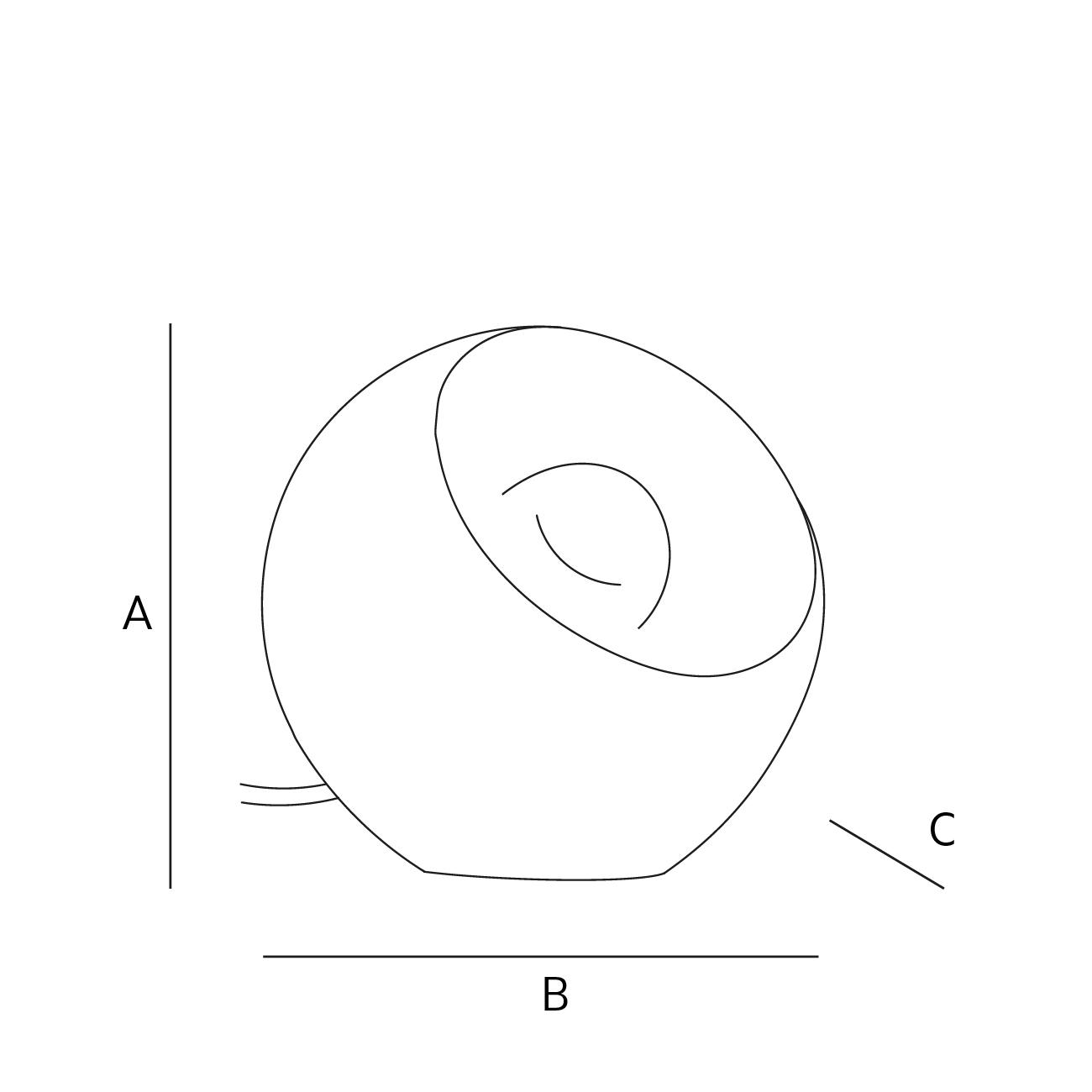 dimensions