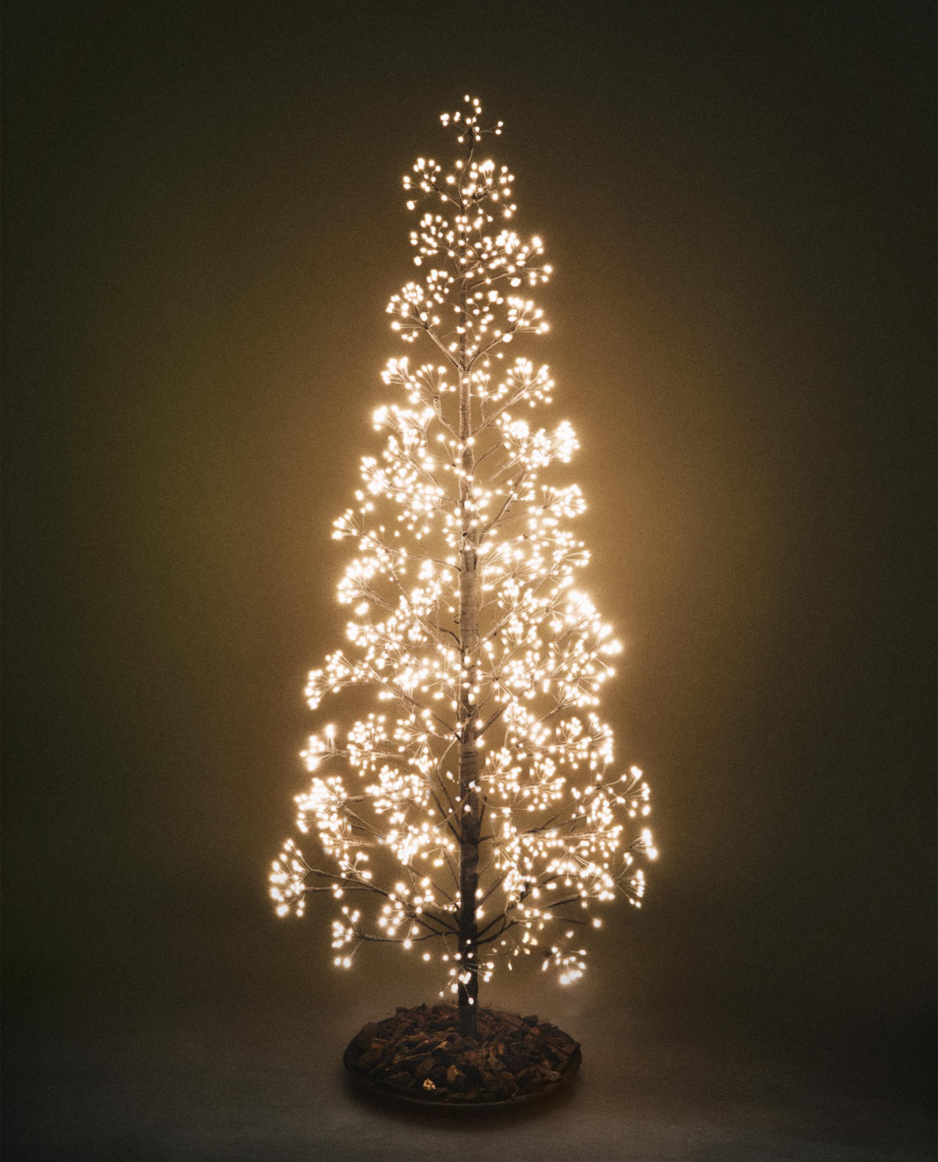 クリスマスツリー 150cm LEDライト付き LEDライト付きクリスマスツリー (150cm) | Zara Home 日本/Japan