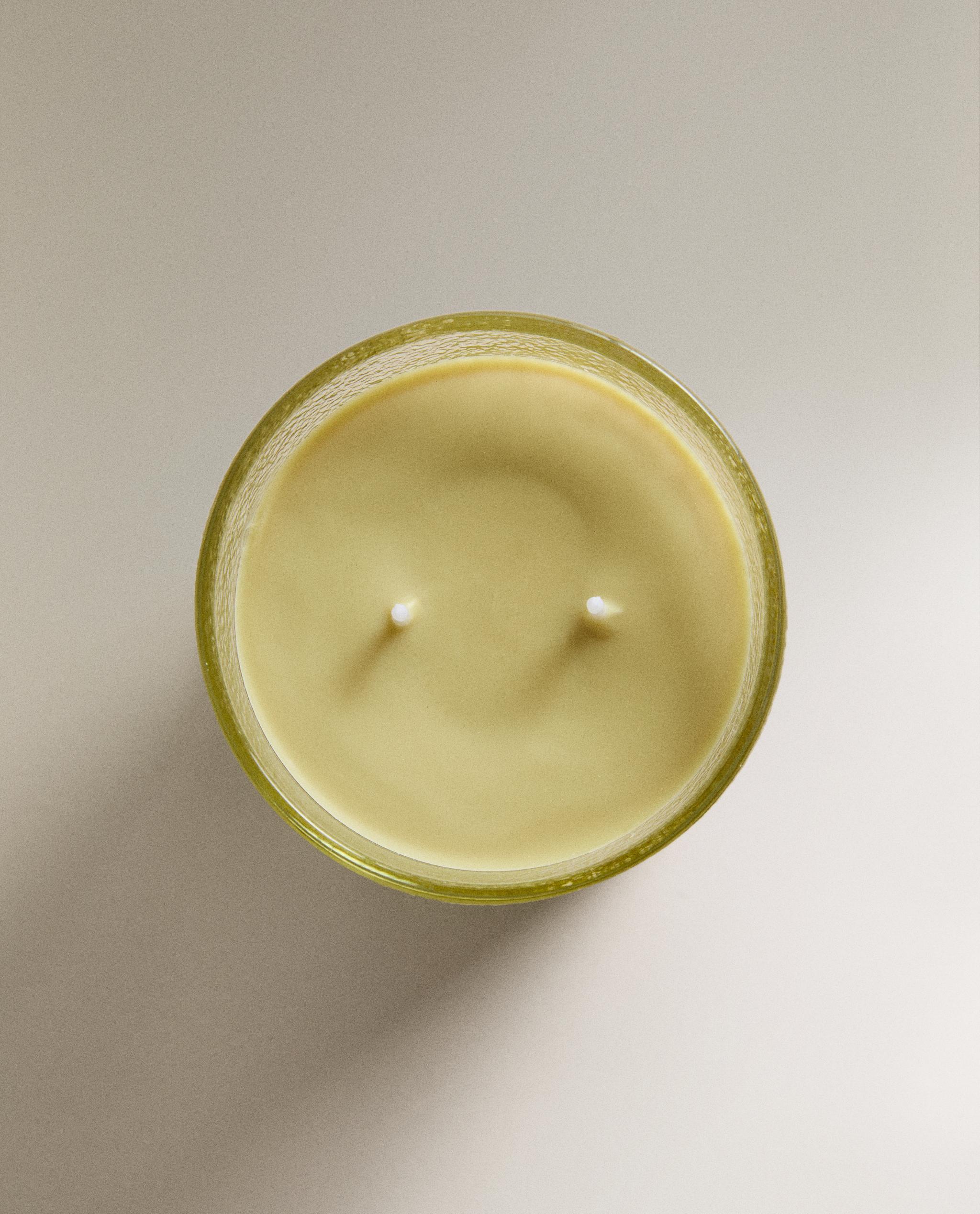 (310 G) VETIVER MELON SCENTED CANDLE product thumbnail 3