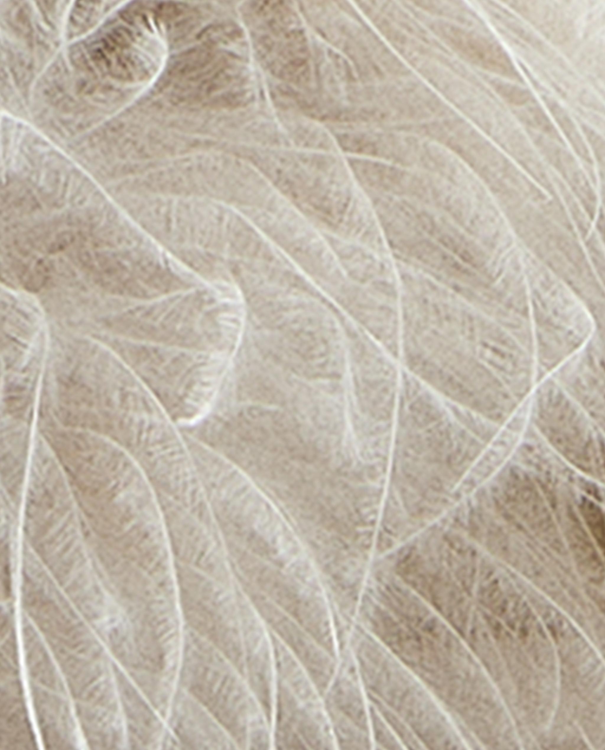 OPEN SLIPPERS WITH FEATHERS product thumbnail 6