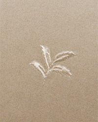 LEAF PRINT SATEEN CUSHION COVER product thumbnail 3