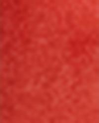 PACK OF MINI CORAL FORKS (PACK OF 8) product thumbnail 3