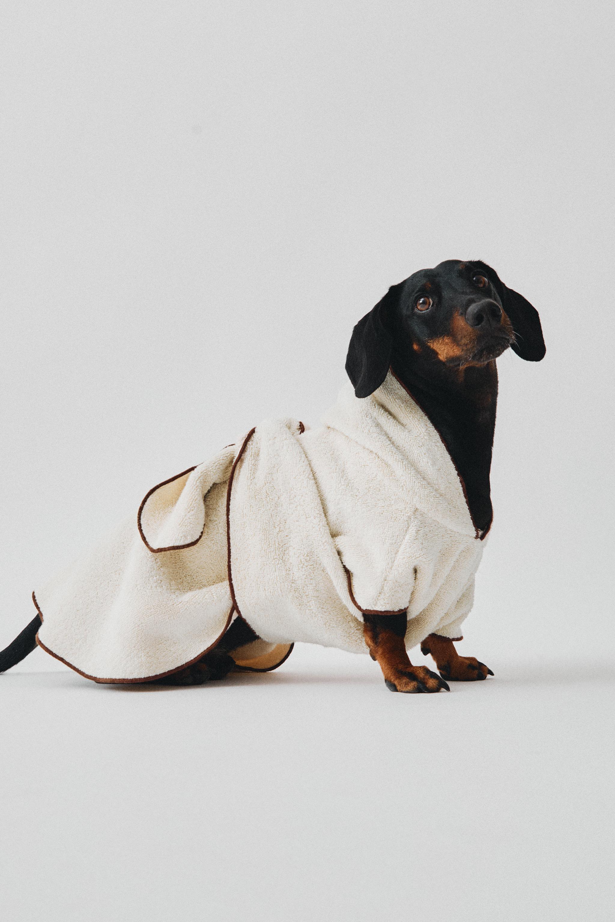 COTTON DRESSING GOWN WITH PETS product thumbnail 8
