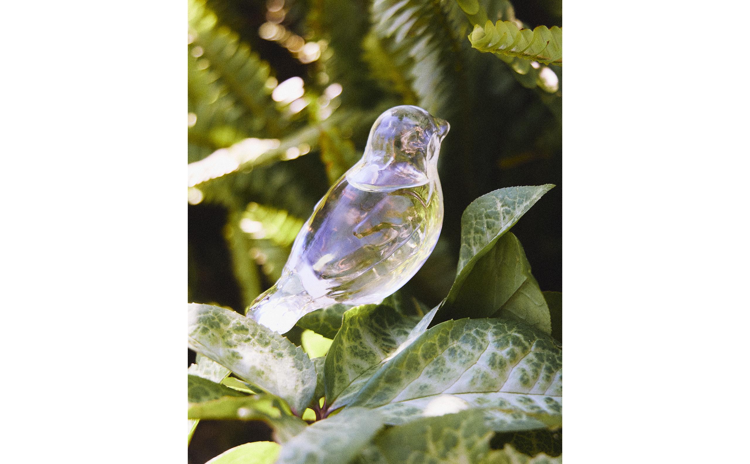 BIRD-SHAPED SELF-WATERING GARDEN BUBBLE | Zara Home United States