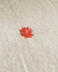 CHILDREN'S CHECK AND POLKA DOT BEDSPREAD product thumbnail 3