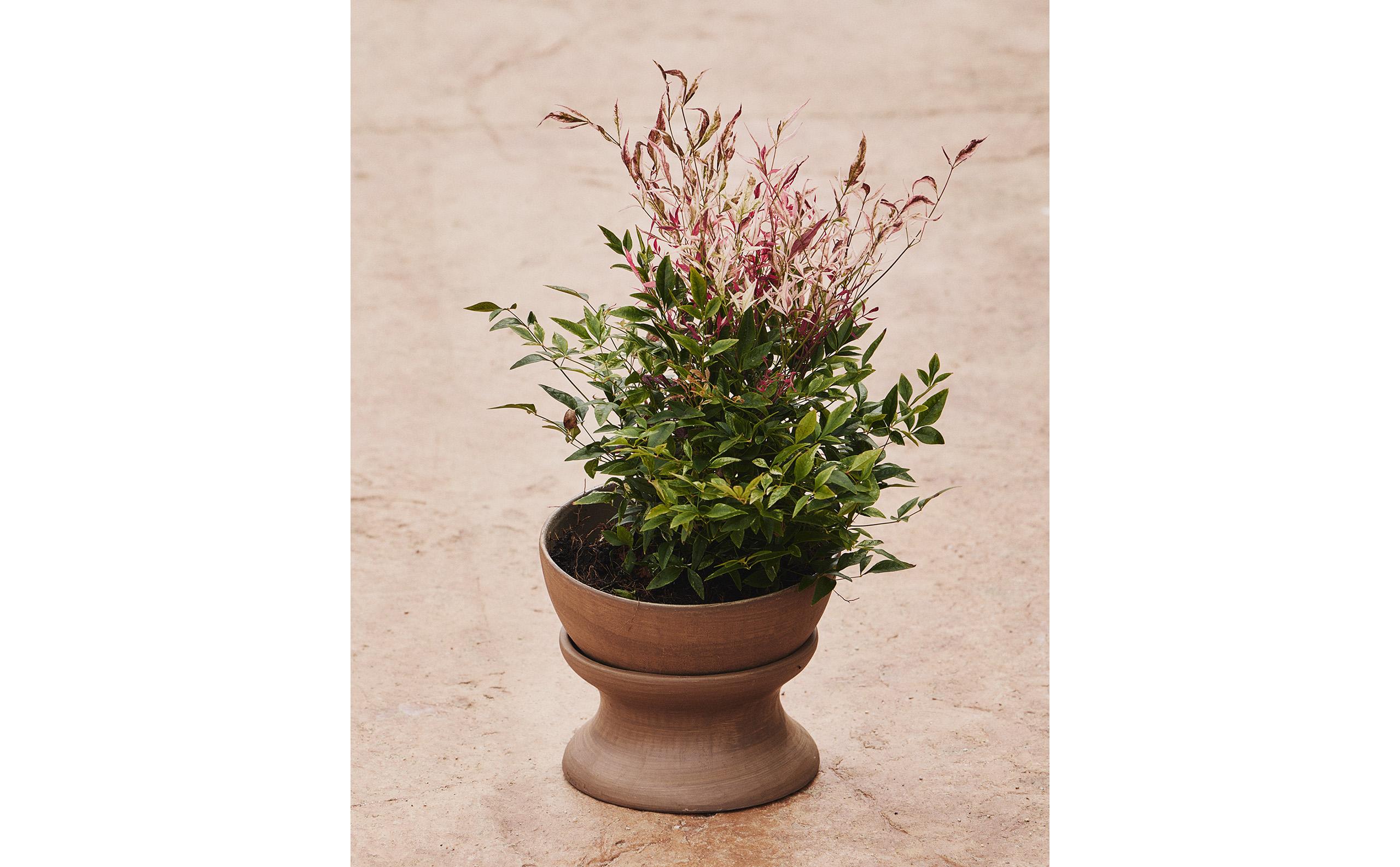 ELEVATED TERRACOTTA PLANTER