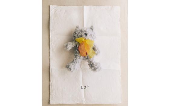 PELUCHE ENFANT CHAT X THE ANIMALS OBSERVATORY